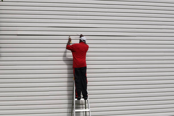 Best Siding Painting and Refinishing  in Lake Geneva, WI